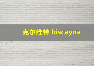 克尔维特 biscayna